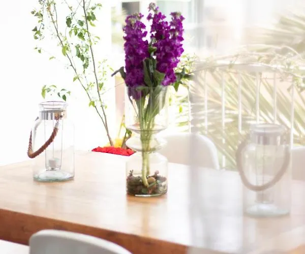 Appartement Playa Arenal Grupo Terra De Mar, Con Encanto