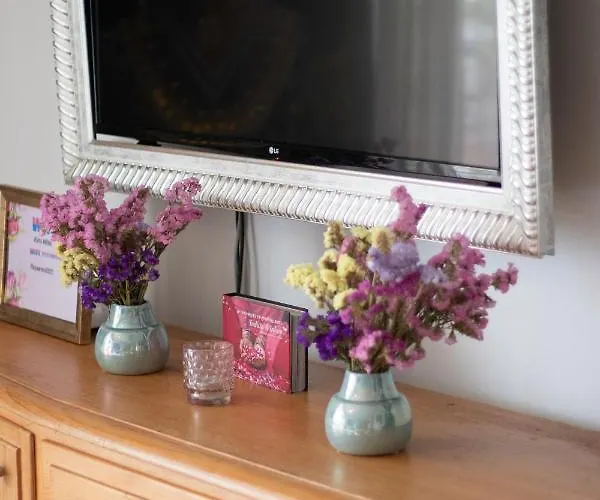 Playa Arenal Grupo Terra De Mar, Con Encanto Appartement