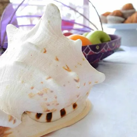 Playa Arenal Grupo Terra De Mar, Con Encanto Lägenhet