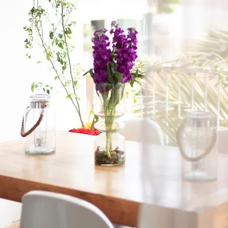 Апартаменти Playa Arenal Grupo Terra De Mar, Con Encanto